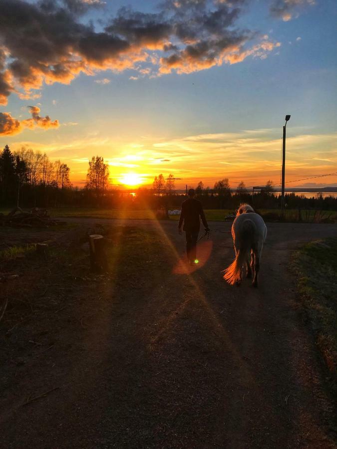 Det Gamla Panget Villa Tallberg Bagian luar foto